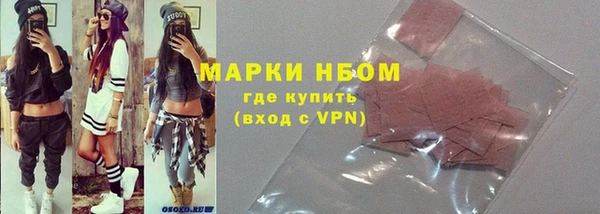 ECSTASY Бородино