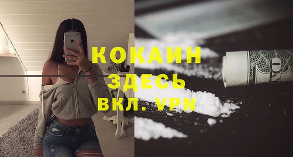 прущие грибы Бронницы