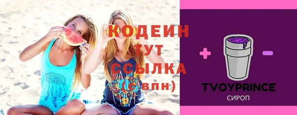 ECSTASY Бородино