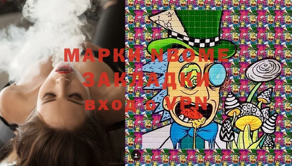 ECSTASY Бородино