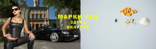 прущие грибы Бронницы