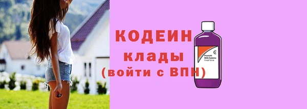ECSTASY Бородино