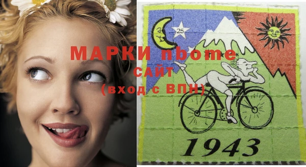 ECSTASY Бородино