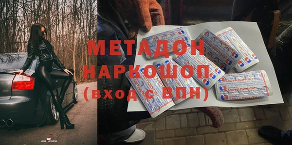 прущие грибы Бронницы
