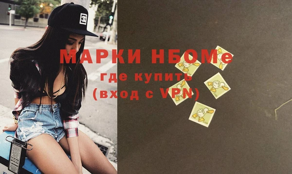ECSTASY Бородино