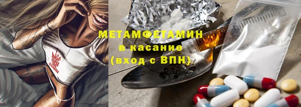 прущие грибы Бронницы