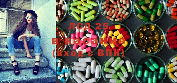 гидра Верея