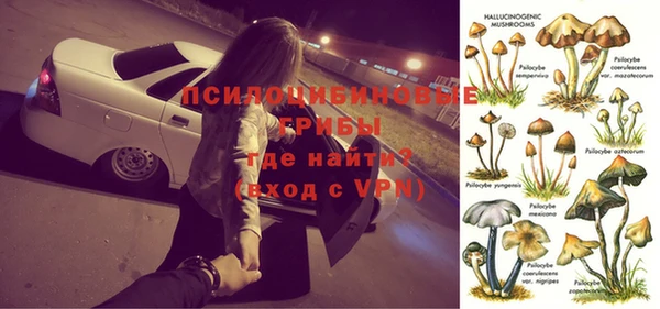 прущие грибы Бронницы
