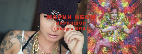 прущие грибы Бронницы