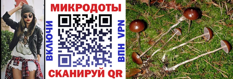 цена наркотик  Благовещенск  blacksprut ссылки  Псилоцибиновые грибы Psilocybe 